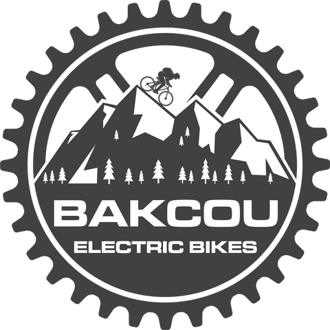 Bakcou Electric Bikes