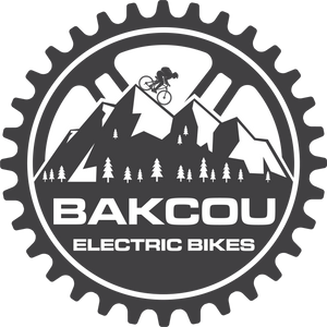 Bakcou Electric Bikes