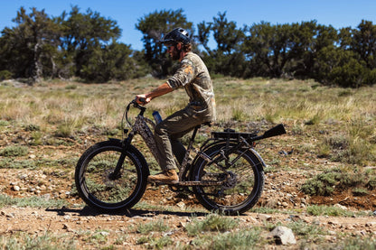 Dirwin Pioneer Plus Fat Tire Electric Bike