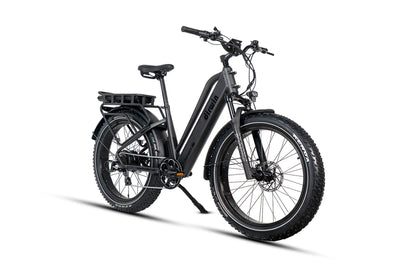 Dirwin Pioneer Plus Fat Tire Electric Bike