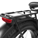 Dirwin Pioneer Step-thru Fat Tire Electric Bike