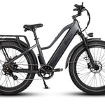 Dirwin Seeker Fat Tire Electric Bike