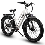 Dirwin Pioneer Step-thru Fat Tire Electric Bike
